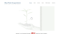 Desktop Screenshot of blueroothealth.com